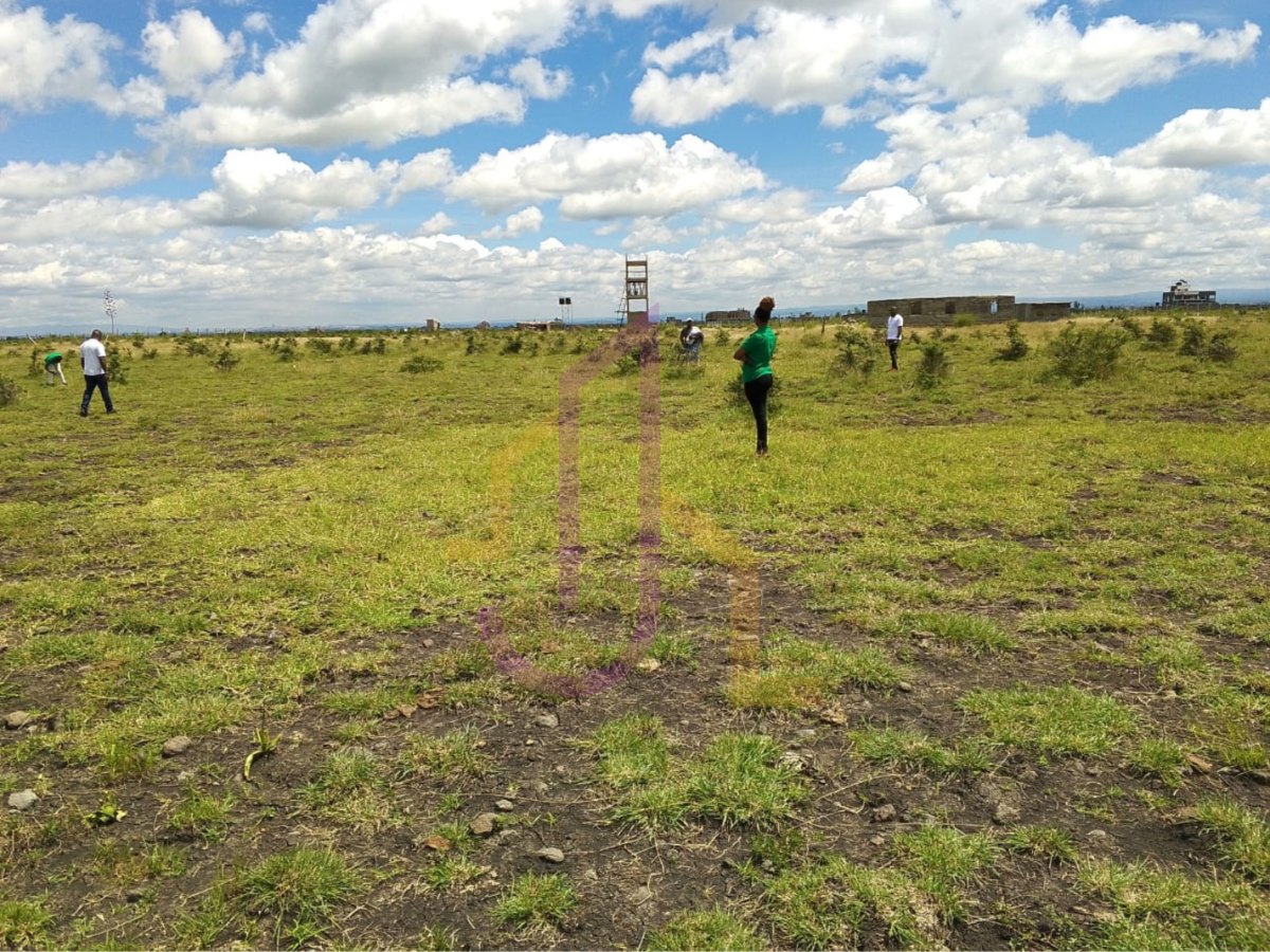 Neema Estate