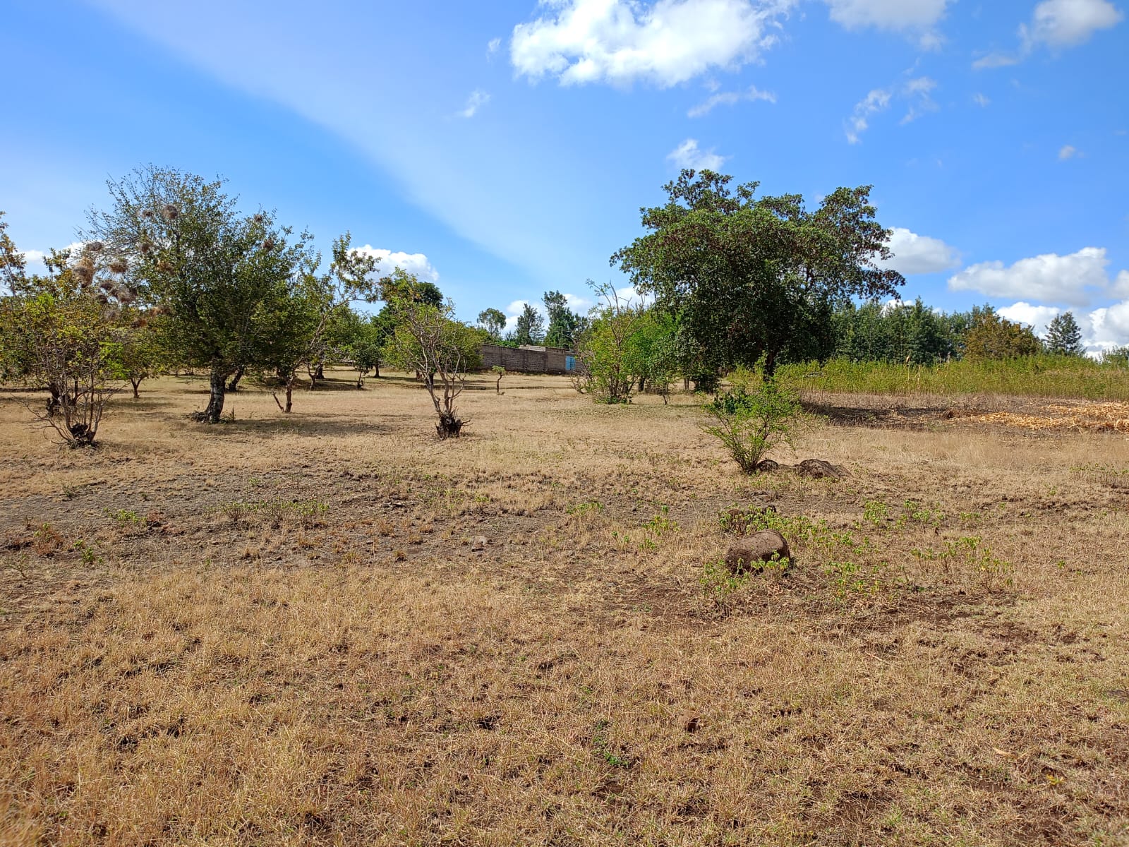 JAMRUCH  REAL ESTATES property project